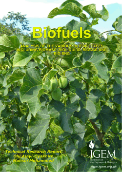 Biofuels PDF Report