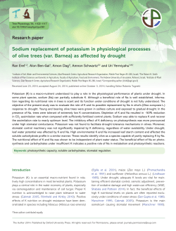 Sodium replacement of potassium in