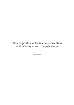 The composition of the interstellar medium in the Galaxy as seen