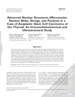 Abnormal Nuclear Structures (Micronuclei, Nuclear Blebs, Strings