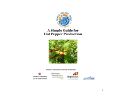 A Simple Guide for Hot Pepper Production