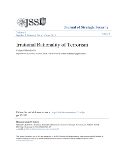 Irrational Rationality of Terrorism