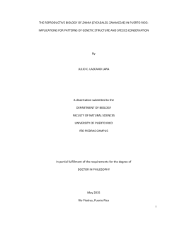 i THE REPRODUCTIVE BIOLOGY OF ZAMIA (CYCADALES