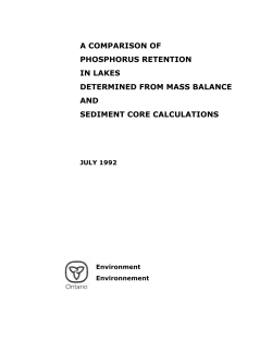 A Comparison of Phosphorus Retention in