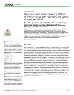The evolution of Sex-linked barring alleles in chickens involves both