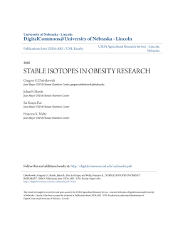 stable isotopes in obesity research