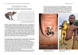 INTRODUCTION - Johan Marais