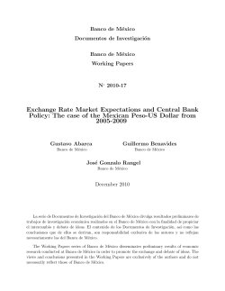 Exchange Rate Market Expectations and Central