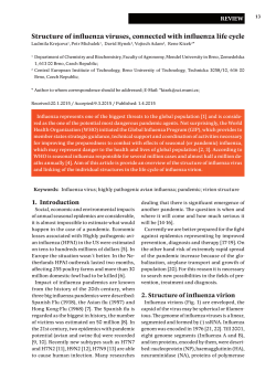 Structure of influenza viruses, connected with influenza life cycle