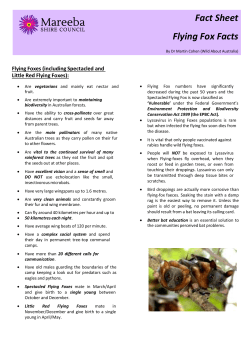 Fact Sheet Flying Fox Facts