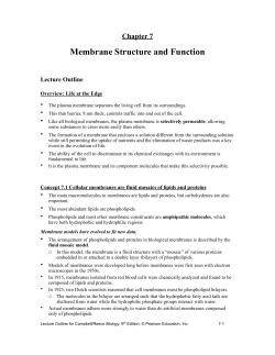 Membrane Structure and Function