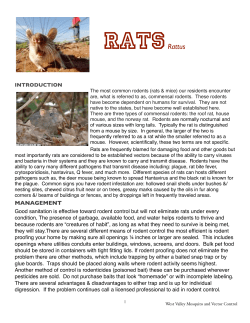 RATSRattus - West Valley Mosquito and Vector Control District