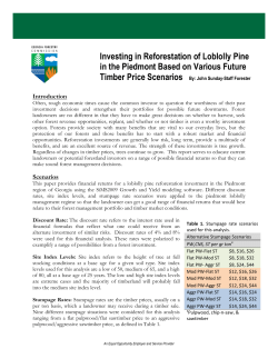 Investing in Reforestation of Loblolly Pine in the Piedmont Based on