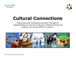 Cultural Connections