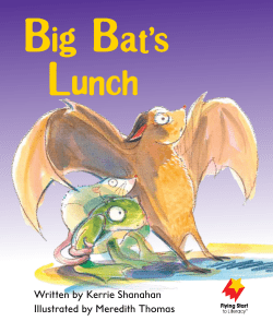 Big Bat`s Lunch - Despegando hacia la lectura