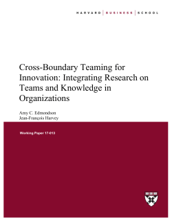 Cross-Boundary Teaming for Innovation: Integrating Research on