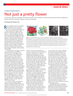 Hybrid nanomaterials: Not just a pretty flower