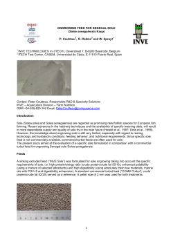 ONGROWING FEED FOR SENEGAL SOLE (Solea senegalensis