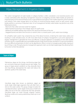 Nuturf Tech Bulletin