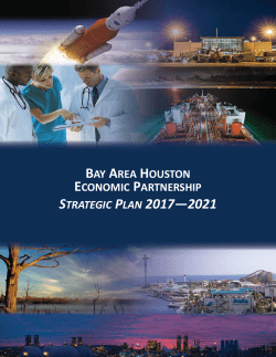 BAHEP`s 2017 - 2021 Strategic Plan