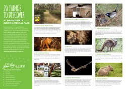 20 THINGS TO DISCOVER