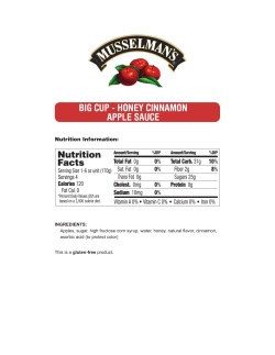 BIG CUP - HONEY CINNAMON APPLE SAUCE