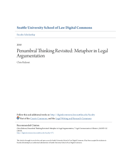 Penumbral Thinking Revisited: Metaphor in Legal Argumentation