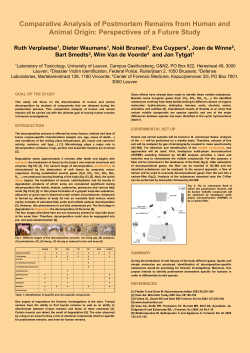Comparative Analysis of Postmortem Remains from Human and