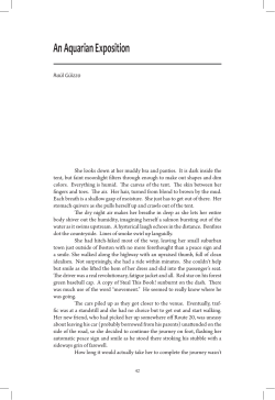 An Aquarian Exposition