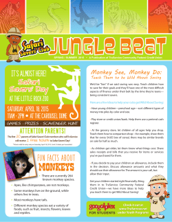 Jungle Beat – Spring/Summer 2015