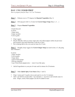 Day 1 to 3 Food Prep - Lyn