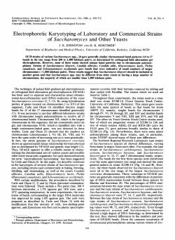 Saccharomyces - International Journal of Systematic and