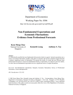 Non-Fundamental Expectations and Economic Fluctuations