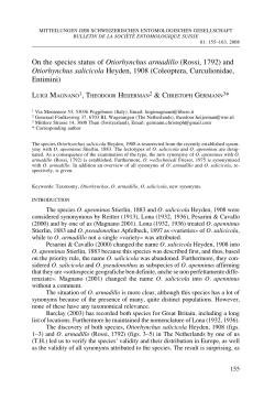 and Otiorhynchus salicicola Heyden, 1908