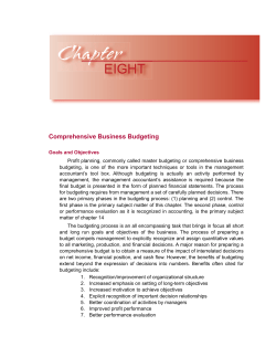 Comprehensive Business Budgeting