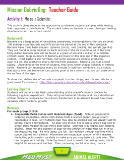 Activity 1 - Web Adventures