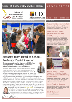 Newsletter 001 PDF