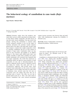 The behavioral ecology of cannibalism in cane toads (Bufo marinus)