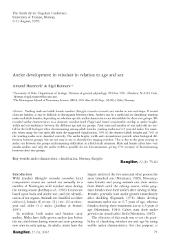 Antler development in reindeer in relation to age and sex
