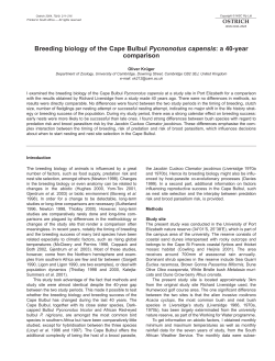 Breeding biology of the Cape Bulbul Pycnonotus