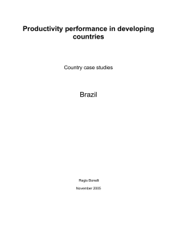 the productivity performance of brazil