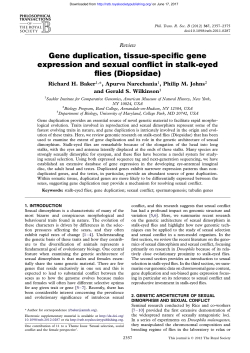 Gene duplication, tissue-specific gene expression and sexual