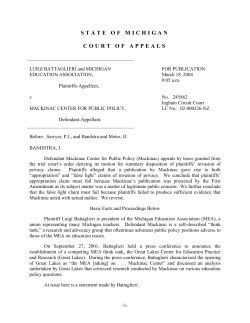 state of michigan court of appeals