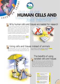 tissues for research and testing - Oltre la Sperimentazione Animale