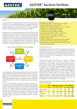 AZOTER bacteria fertilizer