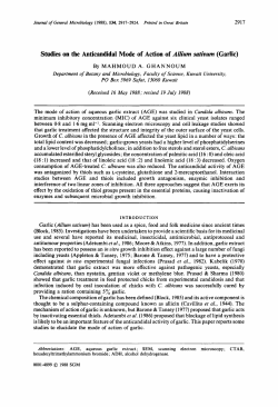 Studies on the Anticandidal Mode of Action of Allium