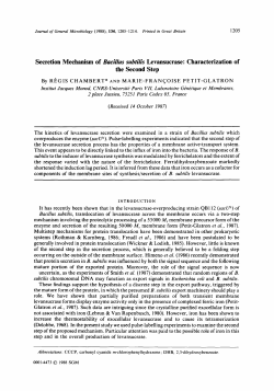 Secretion Mechanism of Bacillus subtiZis Levansucrase