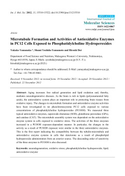 Microtubule Formation and Activities of Antioxidative Enzymes in