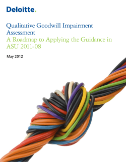 Qualitative Goodwill Impairment Assessment