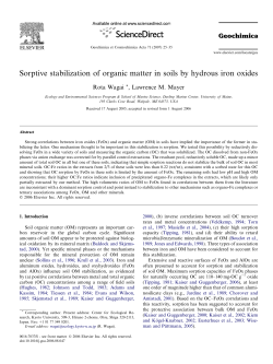 Sorptive stabilization of organic matter in soils by hydrous iron oxides